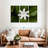Harnek Fresh Jasmine Flower-108080907