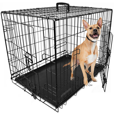 Scribner Metal Collapsible Pet Crate with 2 Doors