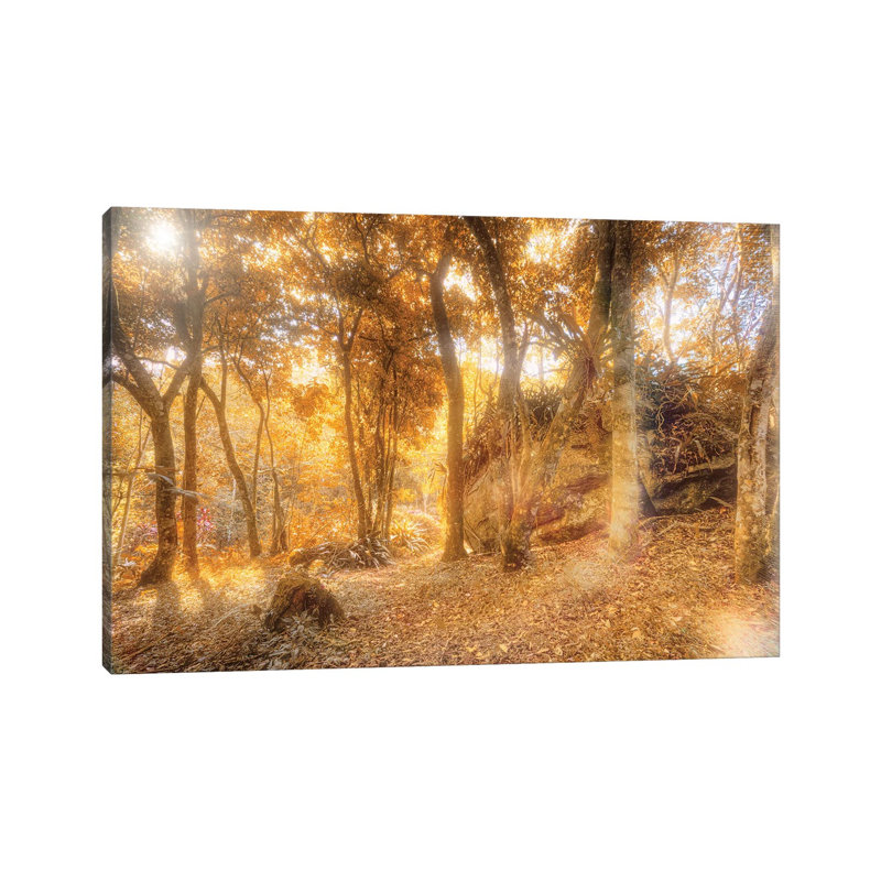Tropical Forest XXIV 1 Piece Wrapped Canvas Wall Art, 66.04 cm H x 45.72 cm W
