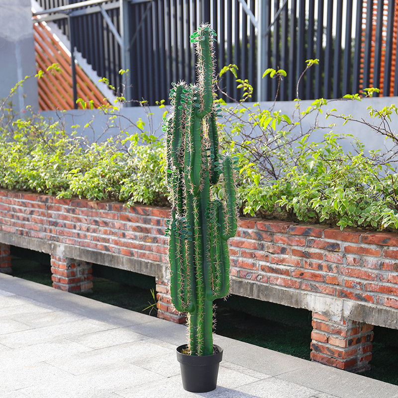 150cm Cactus Topiary in Pot