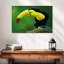 Toucan à soufre-108695574