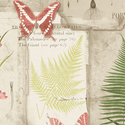 Launceston Floral Roll