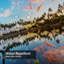 Rideau de douche Palm Tree Sunset-1629278593