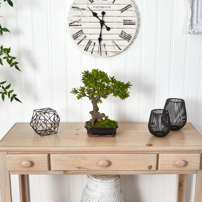 14'' Faux Bonsai Tree in Ceramic Planter
