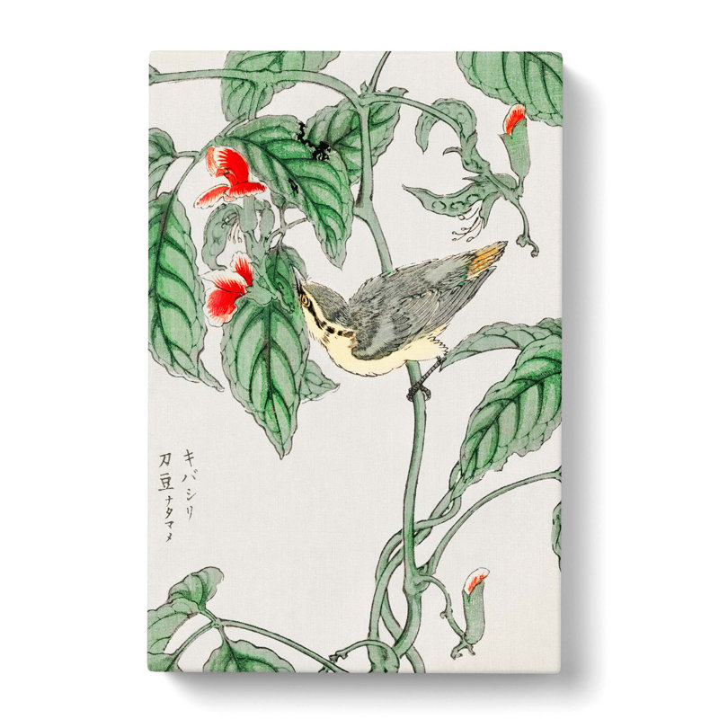 Japanese Tree-Creeper Bird by Numata Kashu - Wrapped Canvas Print, 50cm H x 35cm W x 3cm D