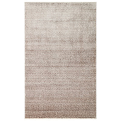 Indoor Rug