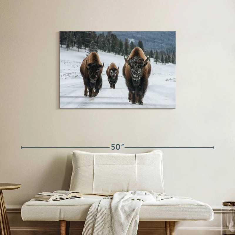 Photographie d'un bison de Brampt à Yellowstone, H 24 po x l 36 po