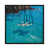 Black Framed