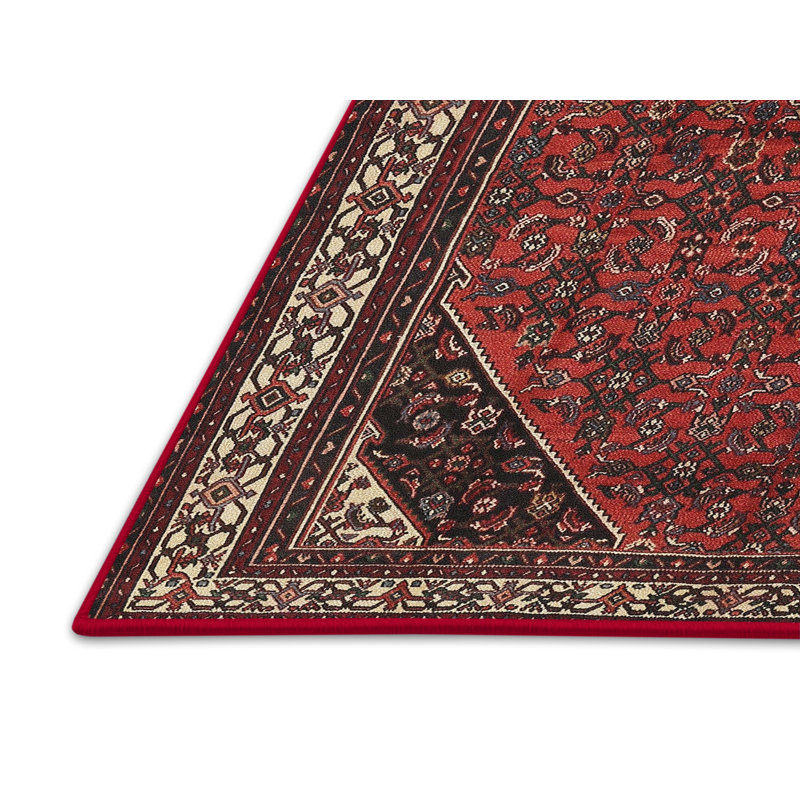 Tapis rouge à motif sud-ouest, Rectangle 3 pi x 5 pi