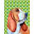 Basset hound 2