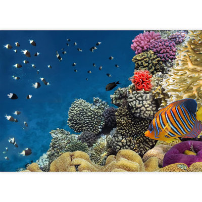 Peel & Stick Wall Mural
