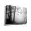 «Woods 1» par Photoinc Studio, art mural sur toile-1309237029
