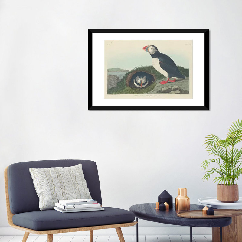 «Puffin», impression sur toile, H 16 po x l 24 po x P 1 po, Papier d'art encadré noir, Blanc