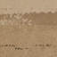 The Meadow by Coup d'Esprit-1319339028