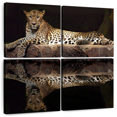 Brampt Leopard Water Reflection