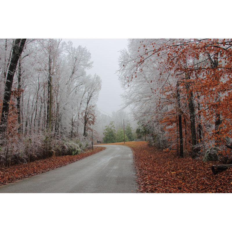 Winter Ice Storm by KAdams66 - Wrapped Canvas Print, 30cm H x 46cm W