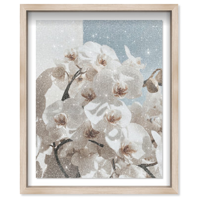 Phalaenopsis Flowers Print by Oliver Gal