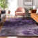 Premium Machine Washable Cerrito AMF590 Purple Rug
