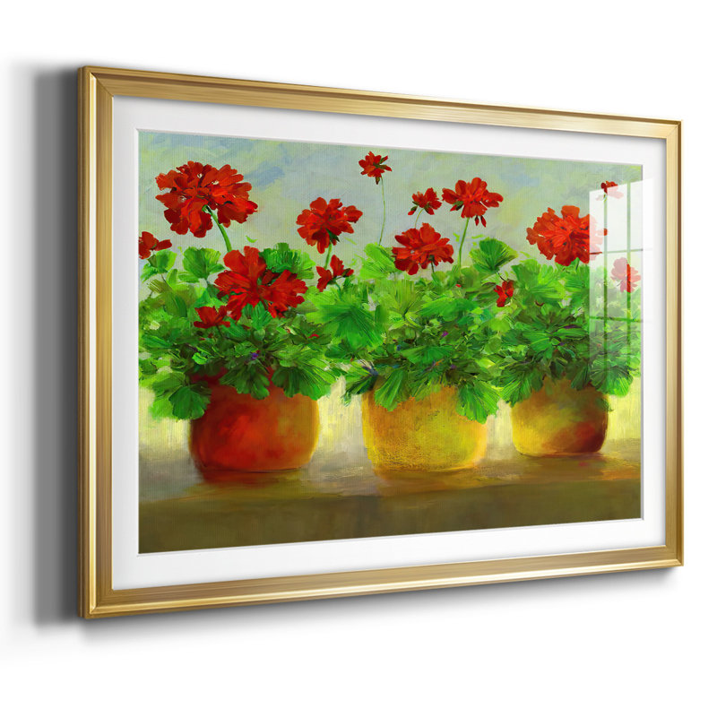 Geraniums III, reproduction d'art encadrée, Or, H 19 po x l 27 po x P 1,5 po