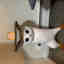 Customer photo 2 of 2