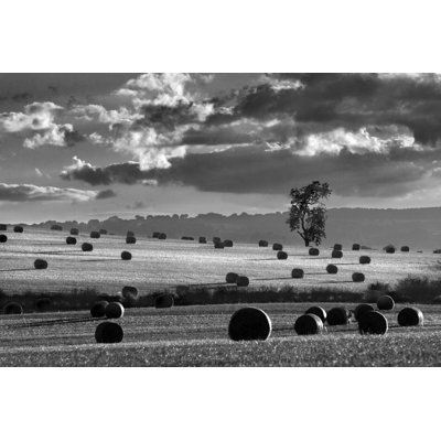 Rolls Of Hay - Wrapped Canvas Art Prints