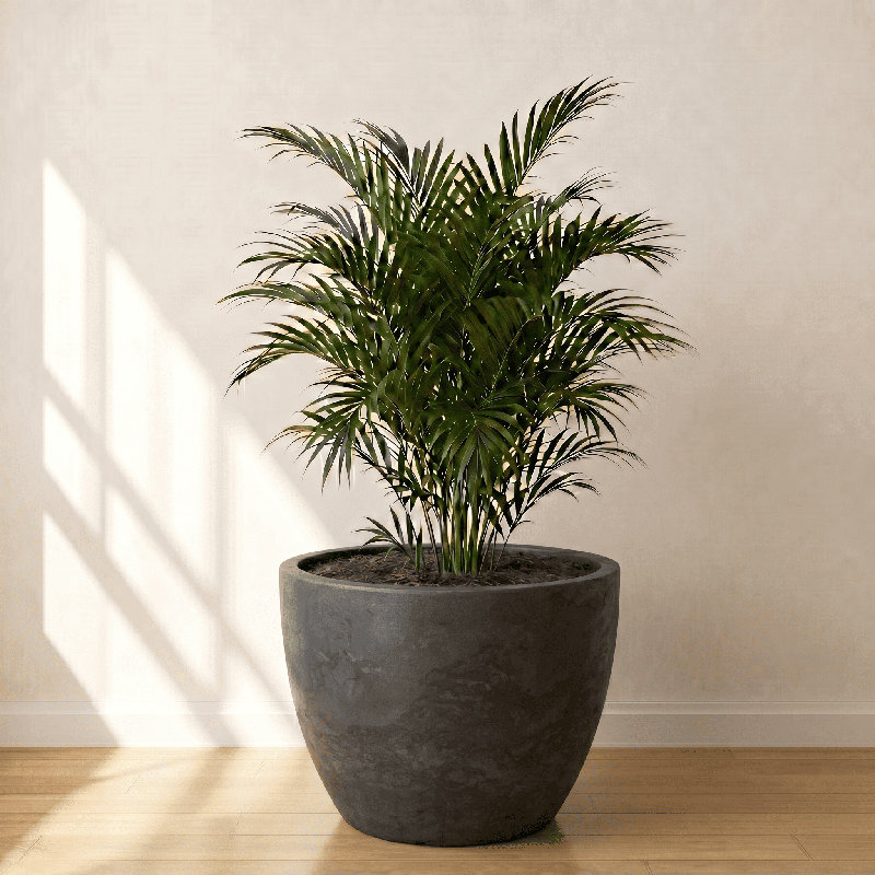 ECOBO Eco-Friendly Round Pot Planter, VicenzaIndoor/Outdoor use,Four Season Use, 23.6" H x 31.5" W x 31.5" D, Marbled Black