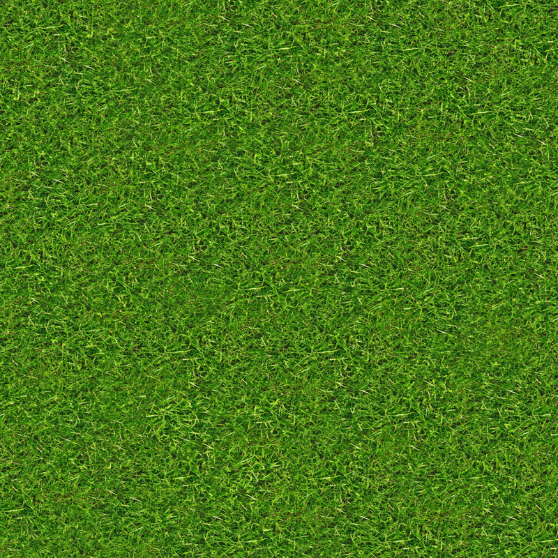 Grass Texture by Nsa Digital Archive - No Frame Print on Canvas, 30cm H x 30cm W