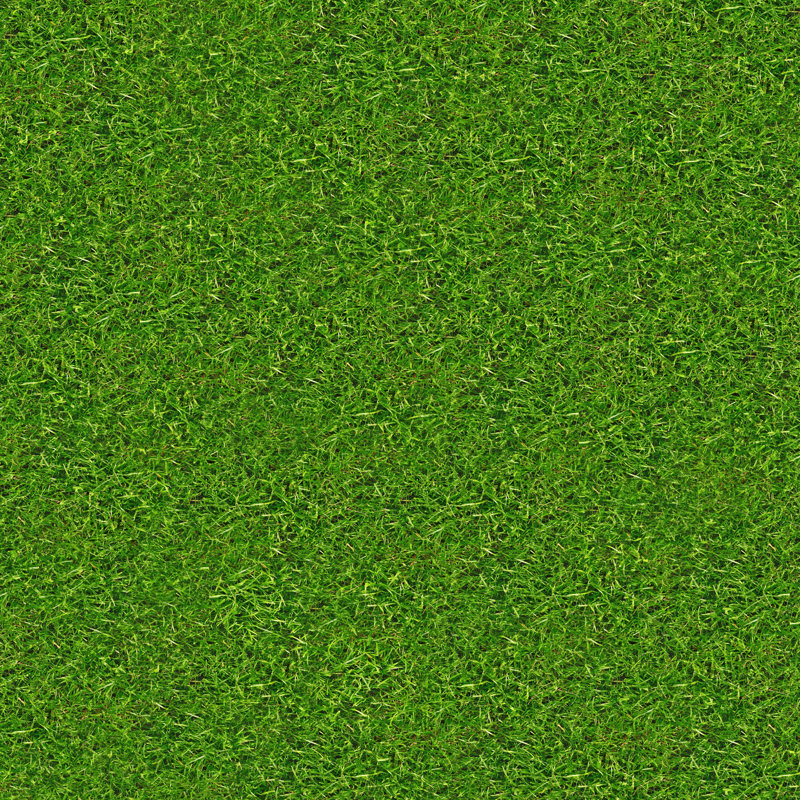 Grass Texture by Nsa Digital Archive, 12" H x 12" W