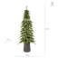 Sapin de Noël alpin mince - 7,5 pi