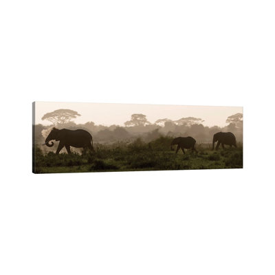 Africa, Kenya, Amboseli National Park. Elephants Backlit At Sunset. - Wrapped Canvas Panoramic Print