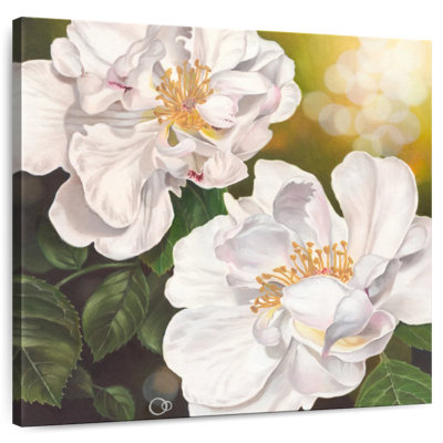 Harnek Floral Purity