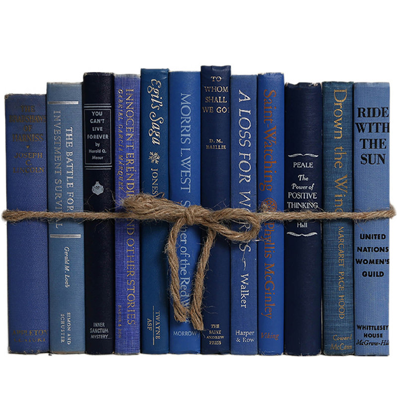 Decorative Books - Vintage Denim Book Bundle - 1 Foot of Blue Books