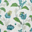 Clementine Fabric