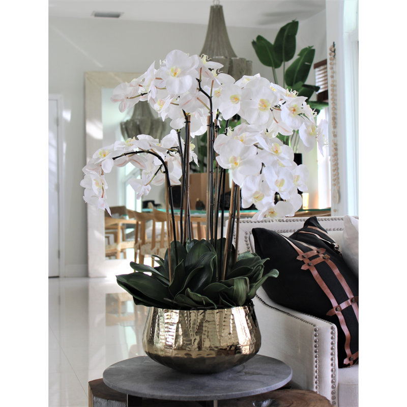 Roberi bowl with multiple stems of white Phalaenopsis orchids, White, 38" H x 22" W x 22" D