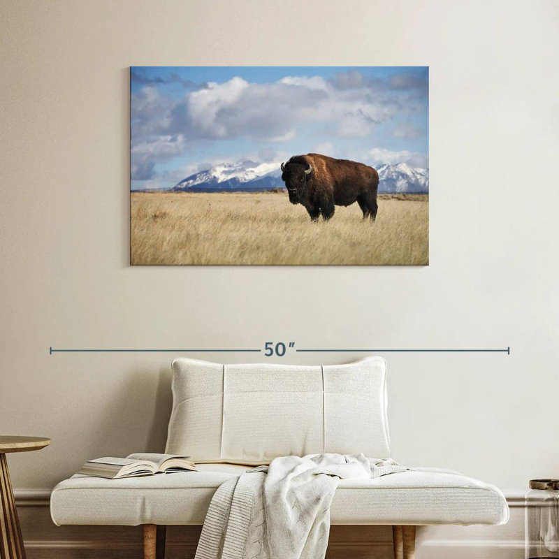 Brampt Lone Bison In A Field