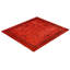 Overdyed Area Rug