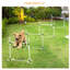 Entraînement d'agilité pour chien blanc - 4 pièces avec sauts réglables et sac de transport portable, pour l'installation de chiens intelligents par des barres de saut, fonctionne sur plusieurs surfaces,