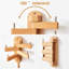 Carlis Solid Wood Wall 5 - Hook Coat Rack