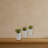 Mini Agave Plant with Planter