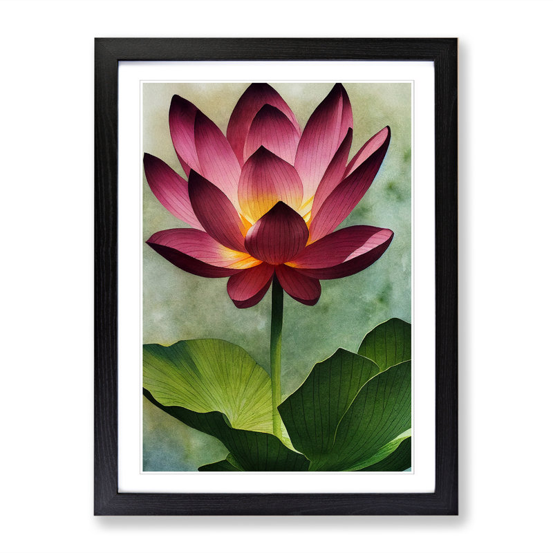 Watercolour Lotus Flower - Single Picture Frame Print, Black, 64cm H x 46cm W x 2cm D