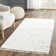 Landon Cotton Hand Woven Area Rug