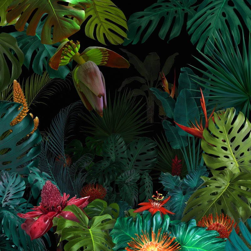 Night Jungle Background by Vizerskaya - Wrapped Canvas Print, 30cm H x 30cm W x 3.8cm D