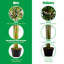 Faux bambou en pot