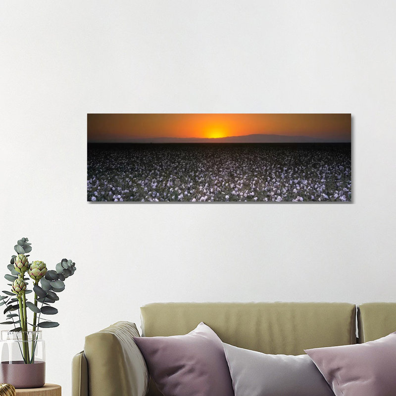 Cotton Field at Dusk, San Joaquin Valley, California, USA 1 Piece Wrapped Canvas Panoramic Wall Art