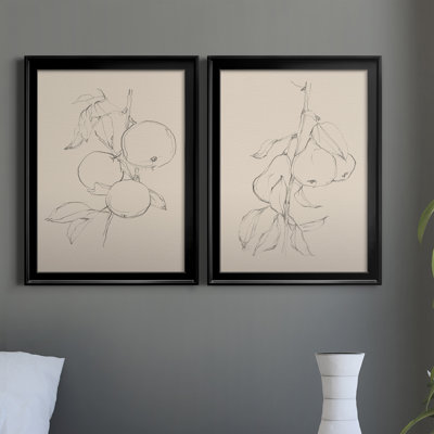 «Fruit Contour Study I», reproduction encadrée de qualité supérieure - prête à être suspendue