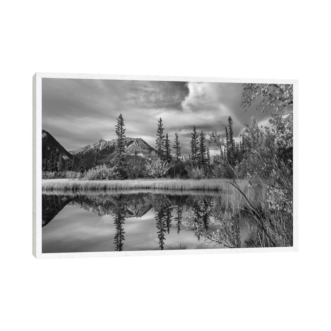 Taiga And Peaks, Moberly Flats, De Smet Range, Rocky Mountains, Jasper National Park, Alberta Canada von Tim Fitzharris ...