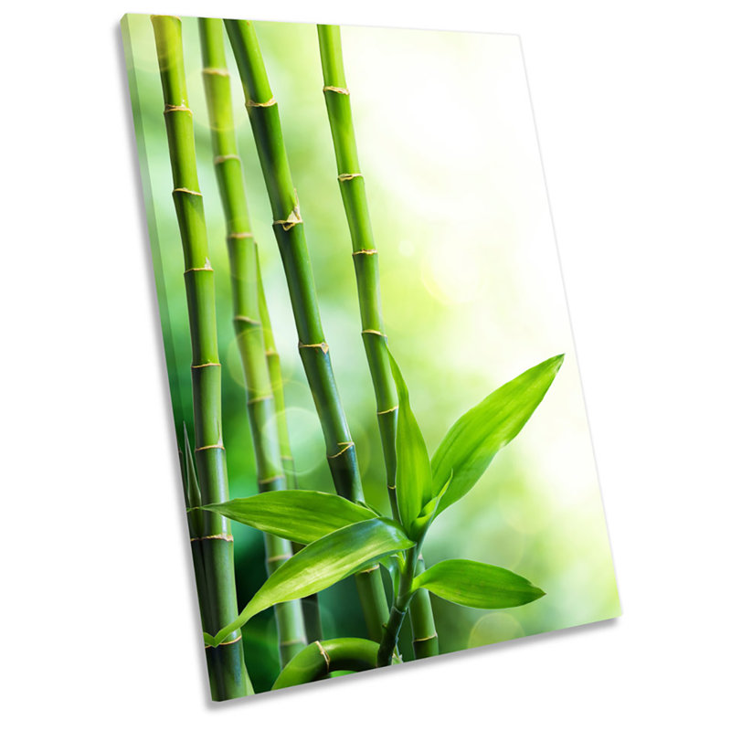 Bamboo Floral - Wrapped Canvas Print, 137.2cm H x 91.4cm W