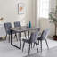 Precilla Metal Base Dining Table-1663077746-1645201249