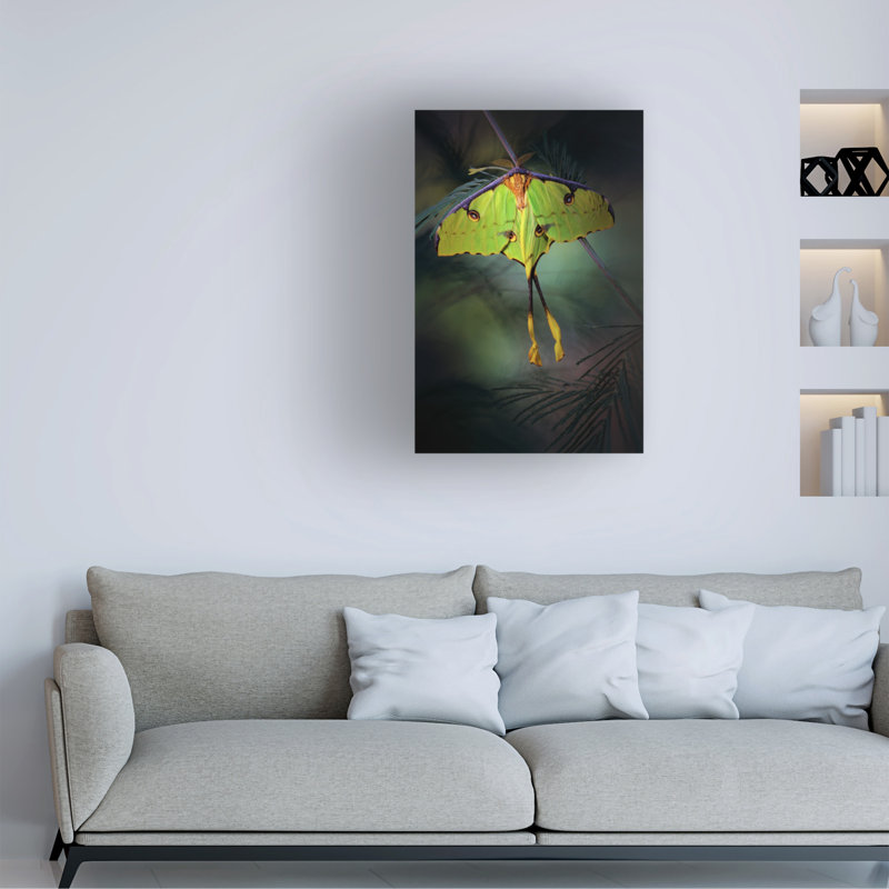 Art sur toile, papillon de lune, Jimmy Hoffman, H 47 po x l 30 po
