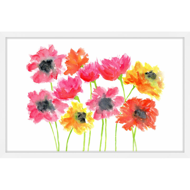 'Bold Zinnias' by Thimble Sparrow Framed Print, 20" H x 30" W x 1.5" D